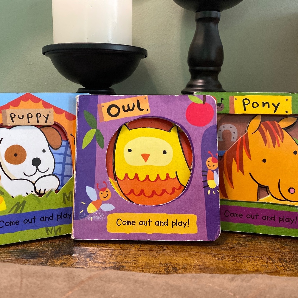 Owl, Puppy, and Pony come out and play!